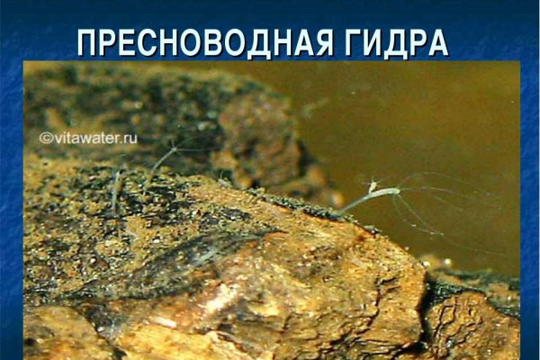 Кракен официальный сайт