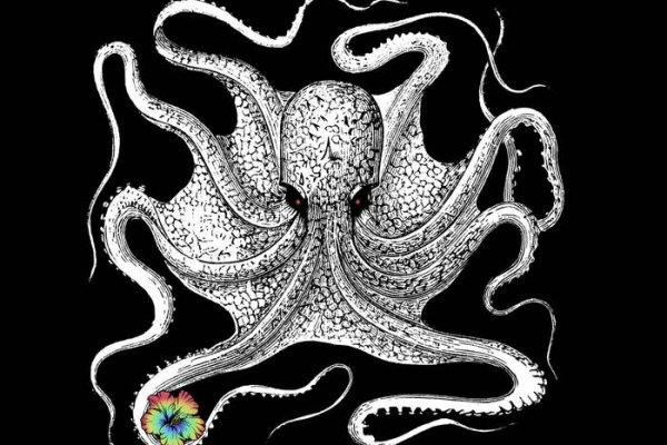 Kraken tor ссылка kraken014 com