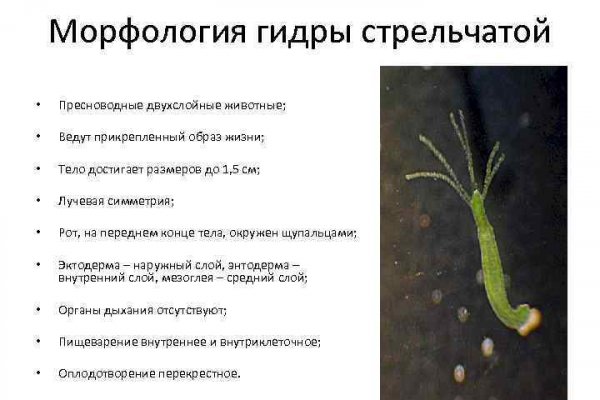 Как войти в кракен