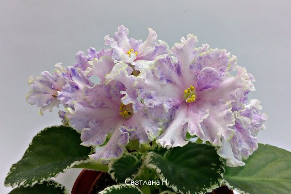 Кракен сайт как зайти