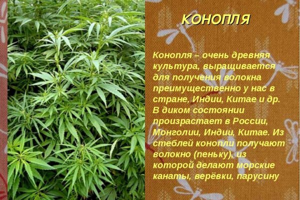 Кракен сайт 1kraken me